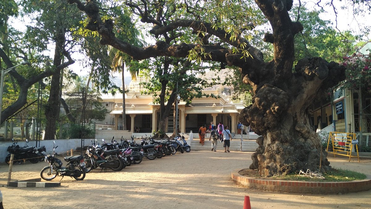 temple-1